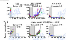 新策略！肺癌EGFR基因L858R突变只用爱必妥，完全缓解