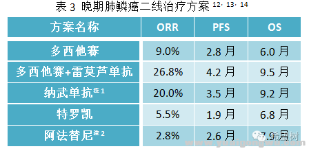 晚期肺鳞癌的治疗现状4.png