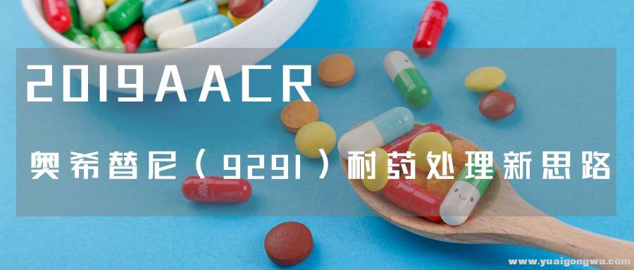 2019AACR9291耐药处理新思路.jpg