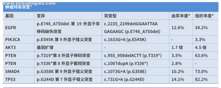 基因检测结果.png